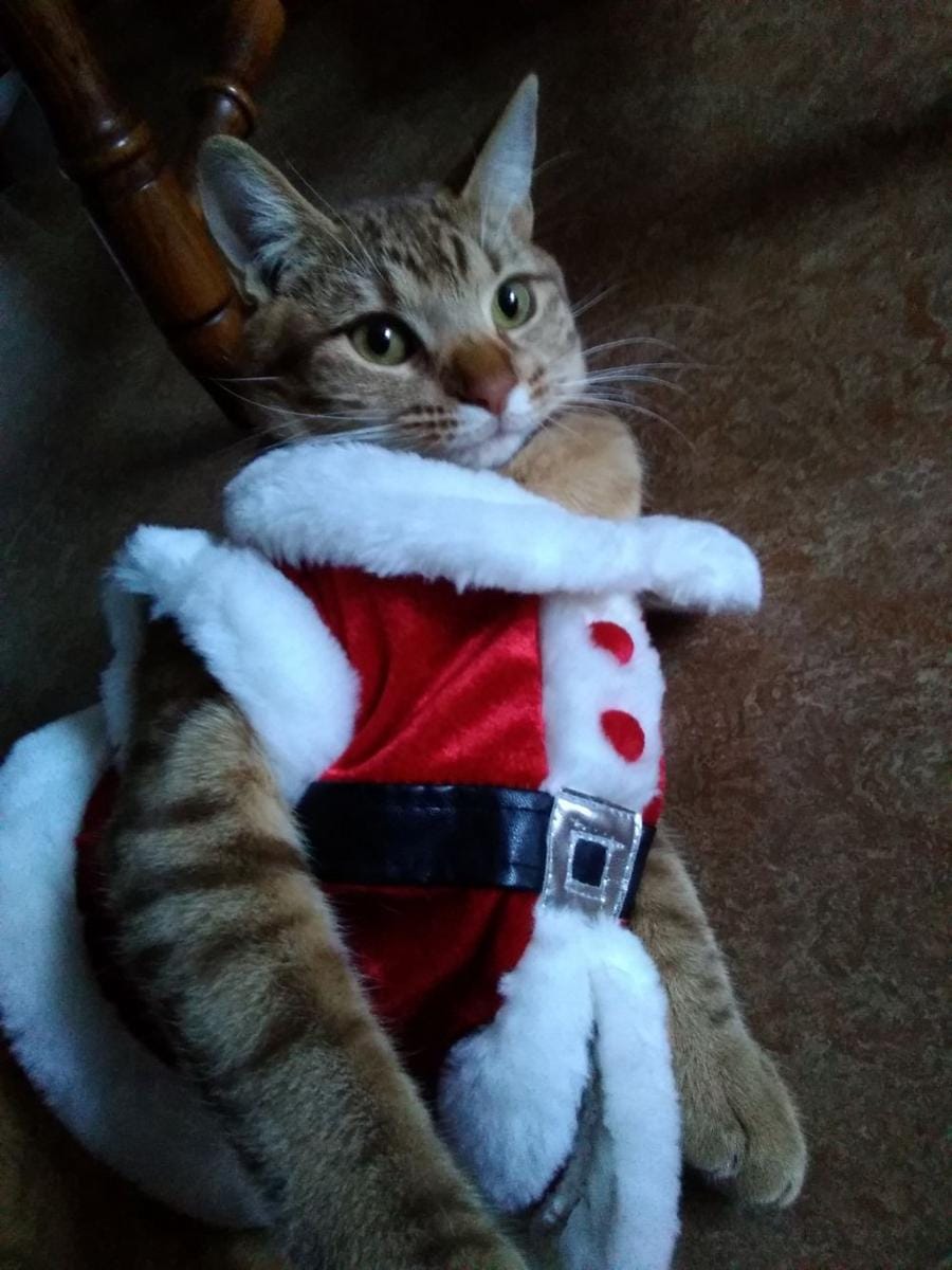 Twitter.com/peckerheadwoody