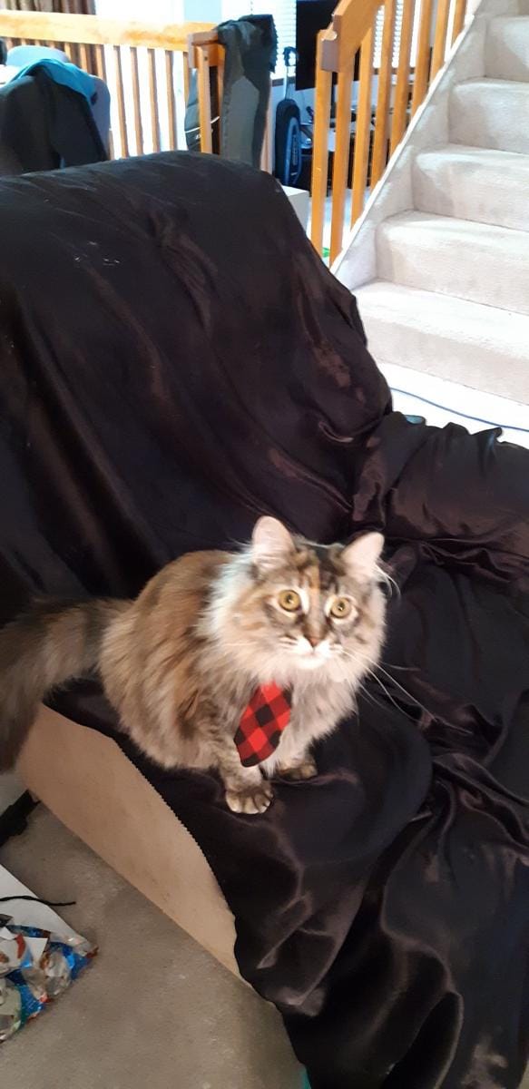 Twitter.com/hbmemanuel