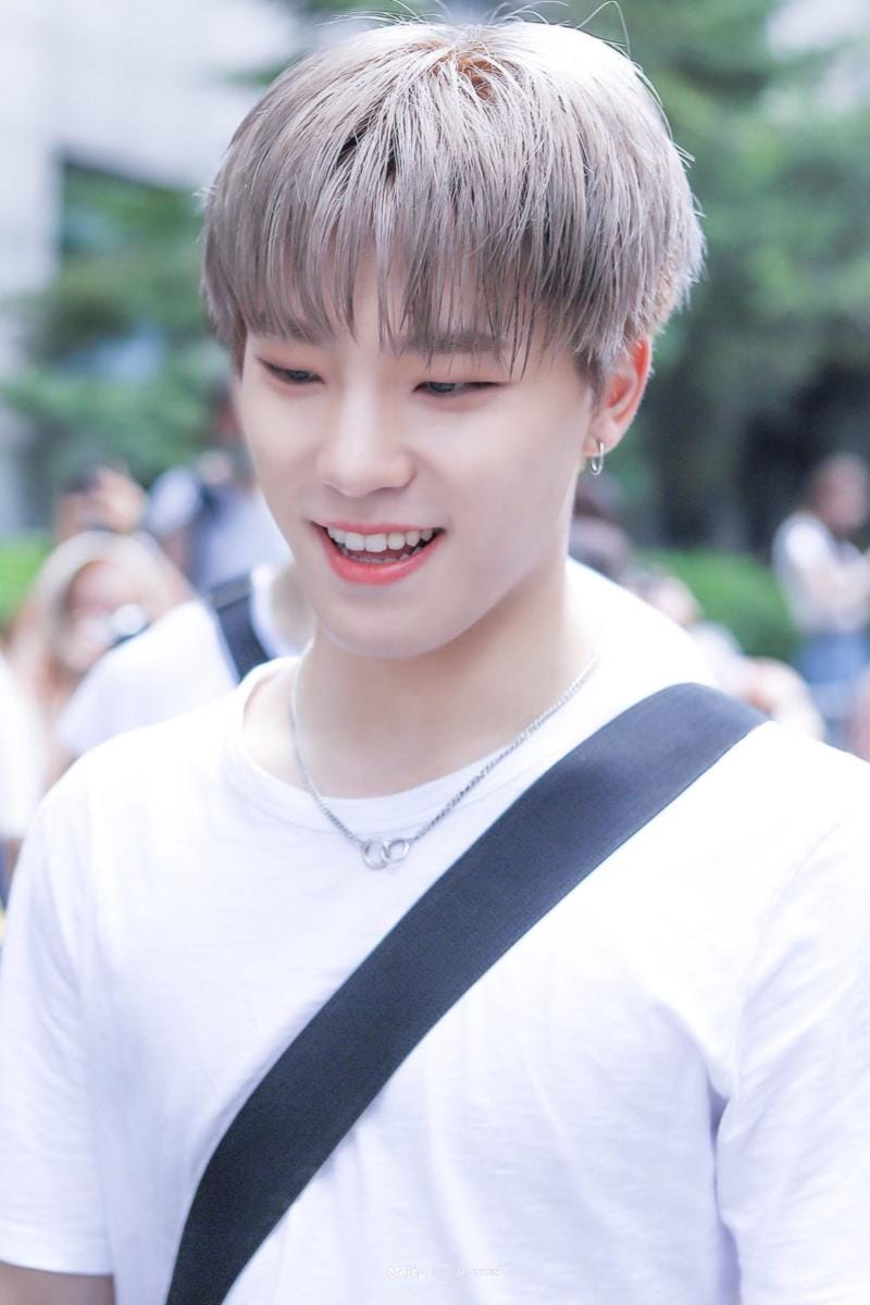 twitter.com/Melty_for_Dino