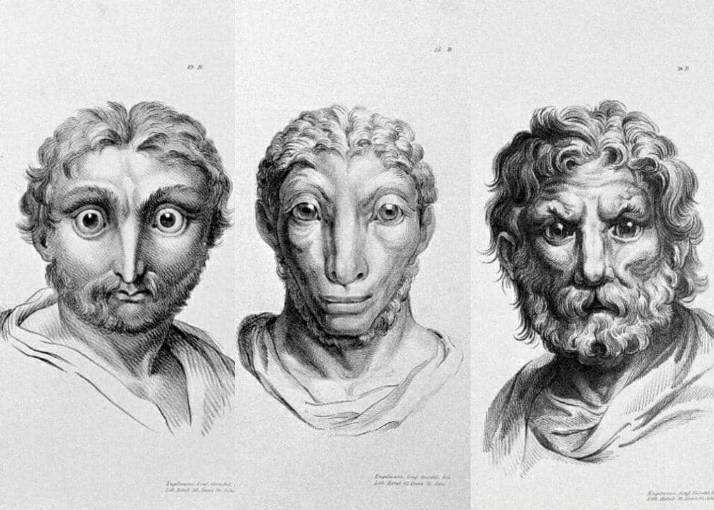 Aneh Banget! Begini Wujud Wajah Manusia Bila Berevolusi dari Hewan