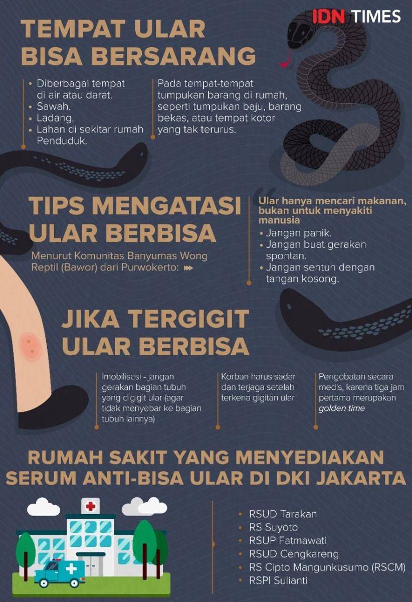 Ilustrasi (IDN Times/Arief Rahmat)