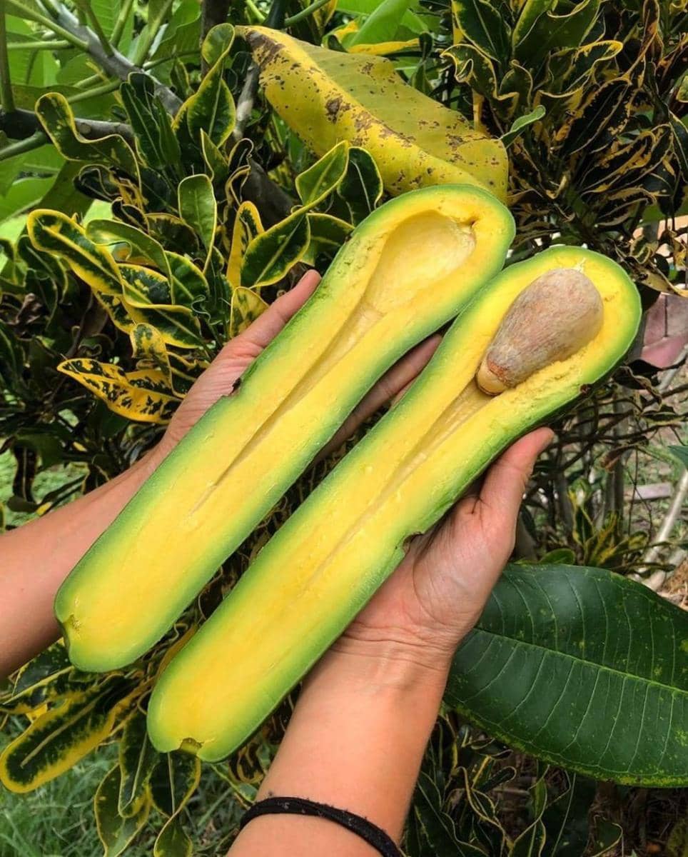 instagram.com/foodbeast