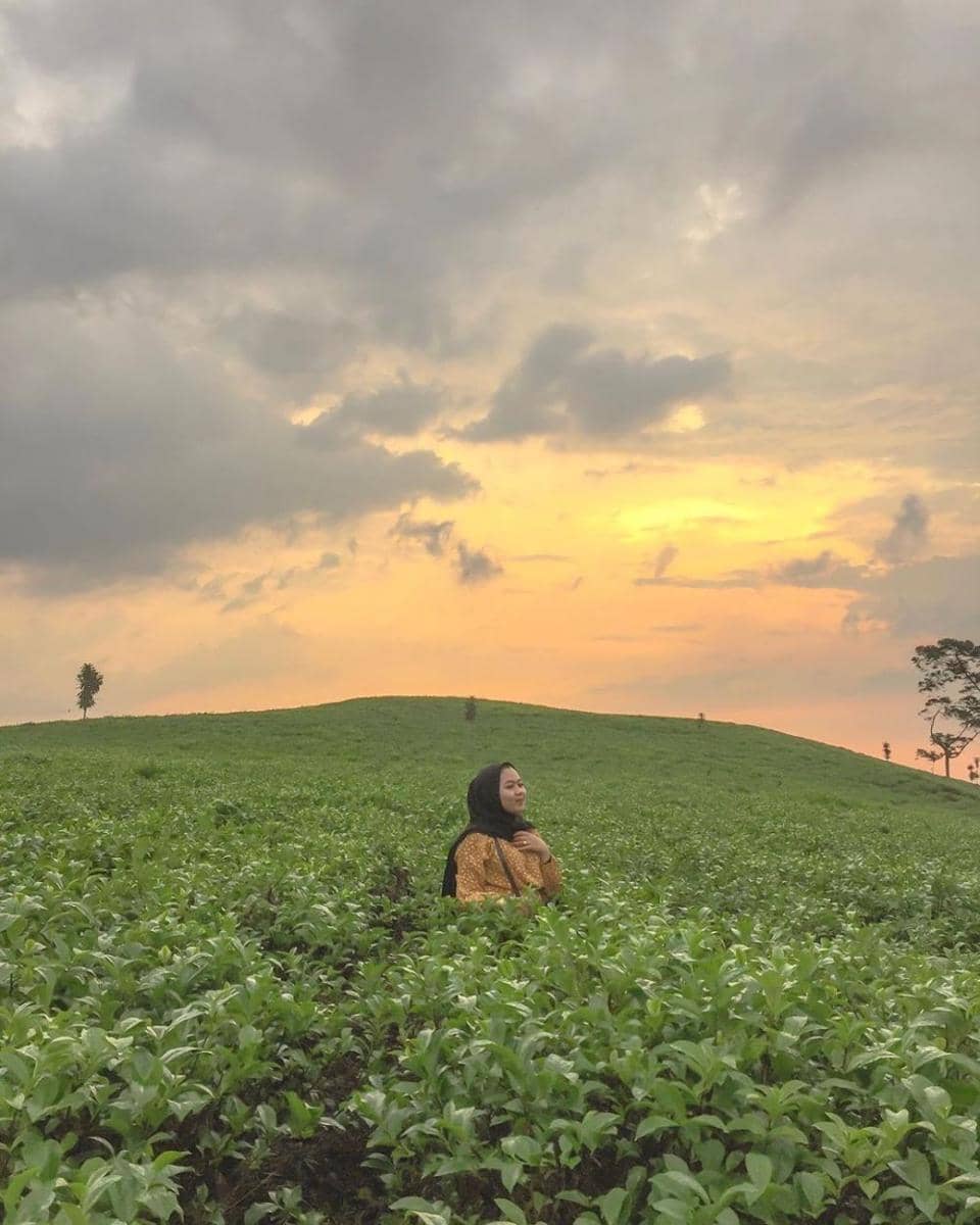 instagram.com/rzksnd_