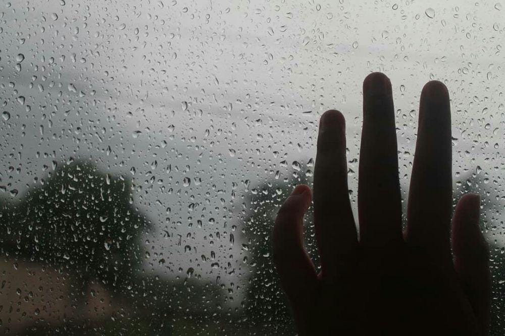 Instagram.com/ainidivania