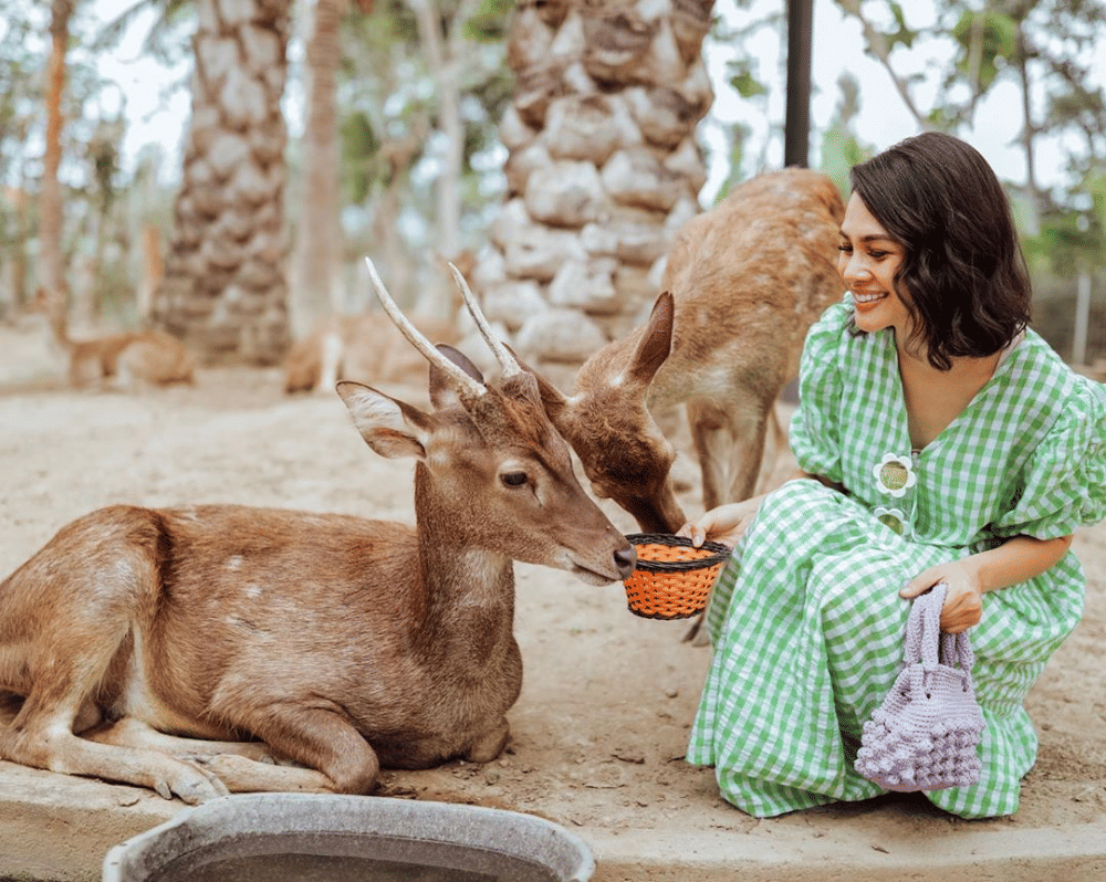 Instagram.com/andienaisyah