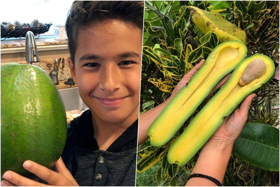 huffpost.com - instagram.com/foodbeast