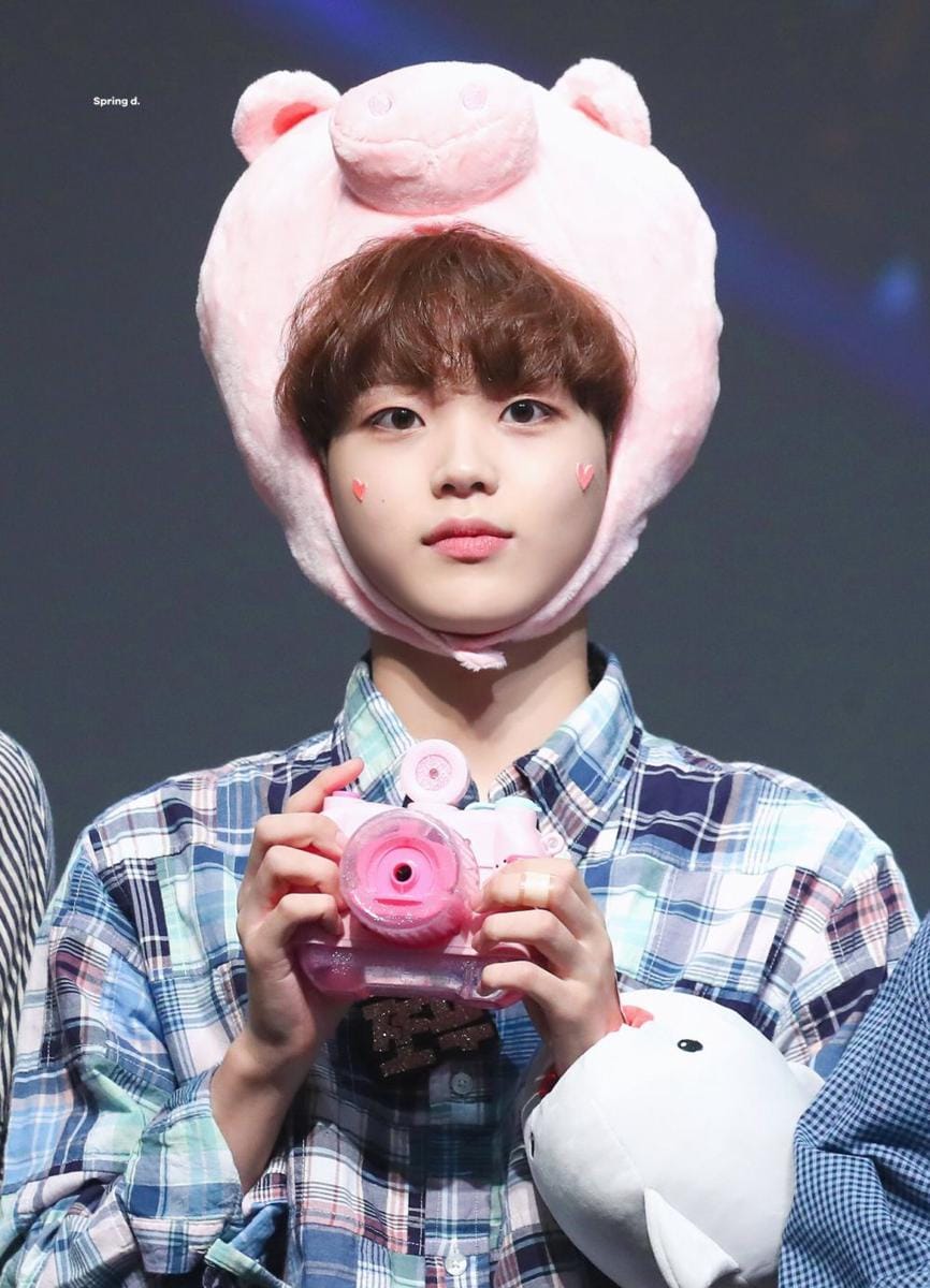 twitter.com/springdays_hj