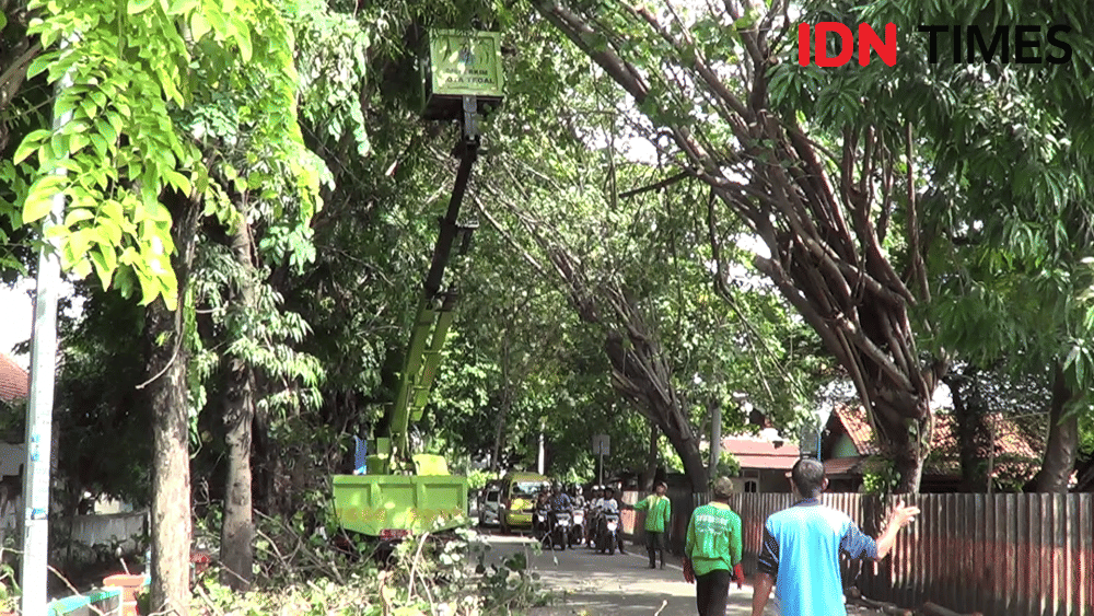 IDN Times/ Muchammad Haikal