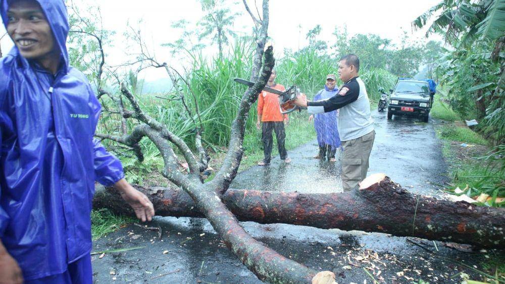 Petugas Tagana Banyumas memotong batang pohon yang tumbang melintang jalan setelah diterjang angin kencang, Rabu (25/12). Dok Tagana Banyumas