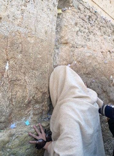 instagram.com/felicyangelista_