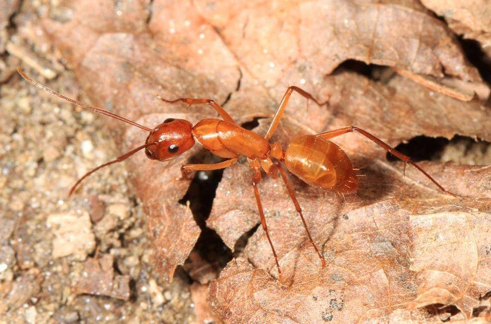 flickr.com/judy gallagher