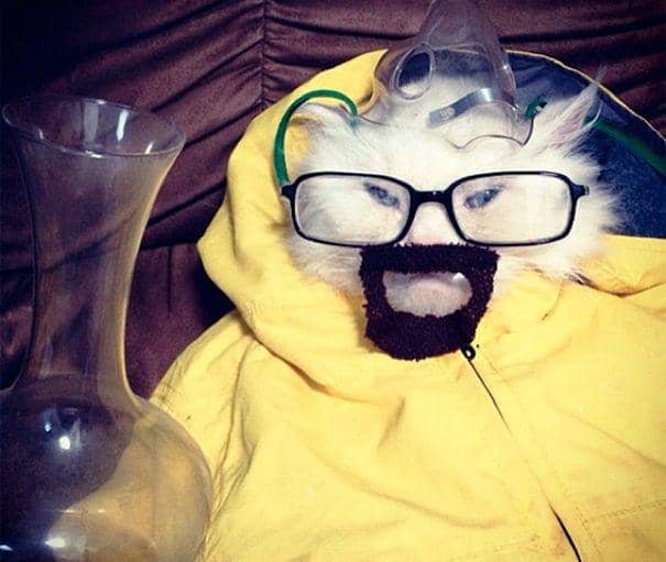 gadgetellsolutions.com