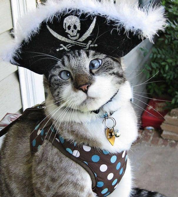 Facebook.com/spangles09