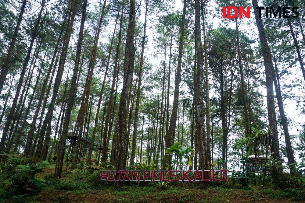 IDN Times/Dhana Kencana