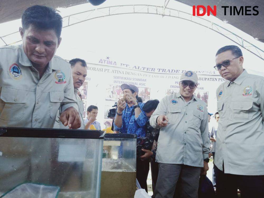 Gubernur Sulsel Nurdin Abdullah meninjau udang windu di lokasi diseminasi budidaya udang windu Dusun Lumpue, Kecamatan Lanrisang, Kabupaten Pinrang, Kamis (26/12) IDN Times/Asrhawi Muin