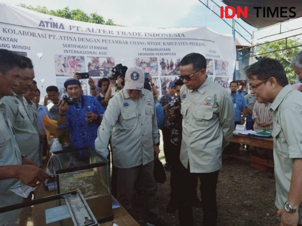 Gubernur Sulsel Nurdin Abdullah meninjau udang windu di lokasi diseminasi budidaya udang windu Dusun Lumpue, Kecamatan Lanrisang, Kabupaten Pinrang, Kamis (26/12) IDN Times/Asrhawi Muin