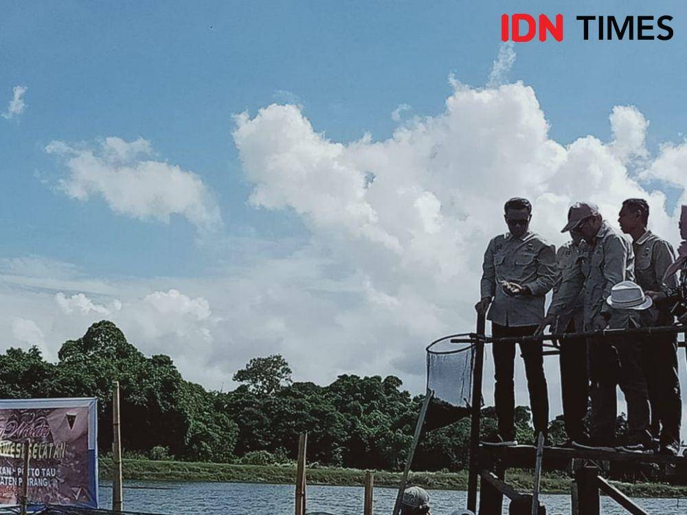 Gubernur Sulsel Nurdin Abdullah meninjau udang windu di lokasi diseminasi budidaya udang windu Dusun Lumpue, Kecamatan Lanrisang, Kabupaten Pinrang, Kamis (26/12) IDN Times/Asrhawi Muin