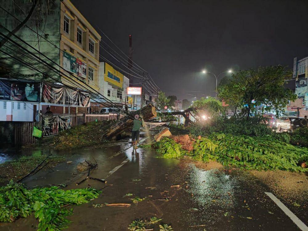Pohon tumbang tutupi jalan di Kota Palembang (IDN Times/BPBD Sumsel)