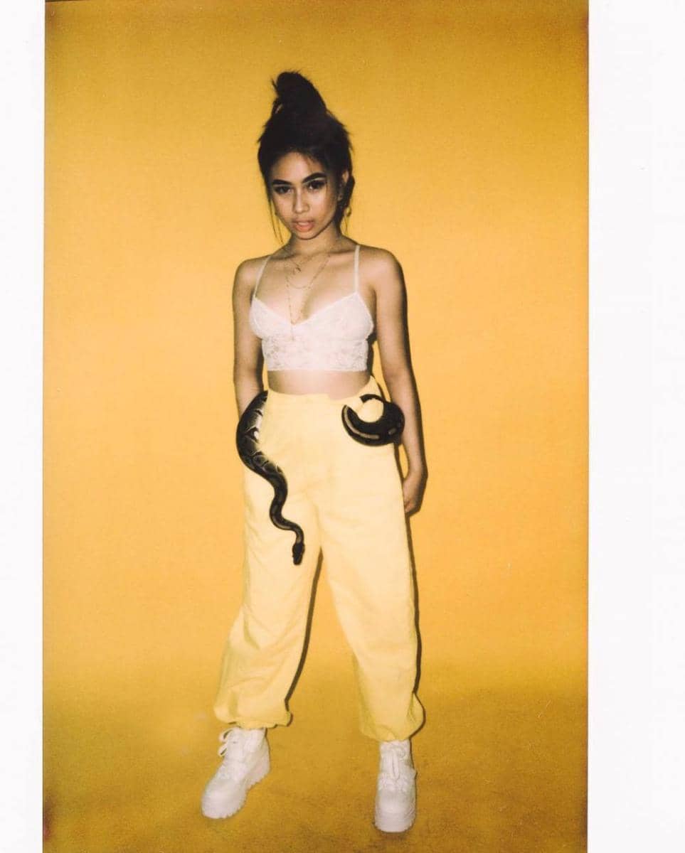 Instagram/nikizefanya