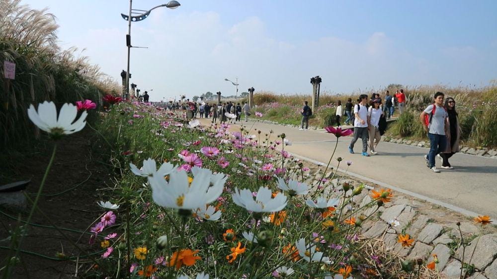 Dok. Pribadi/Fadila Suryandika