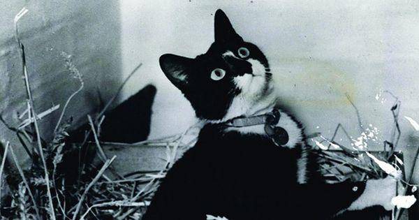 historyextra.com