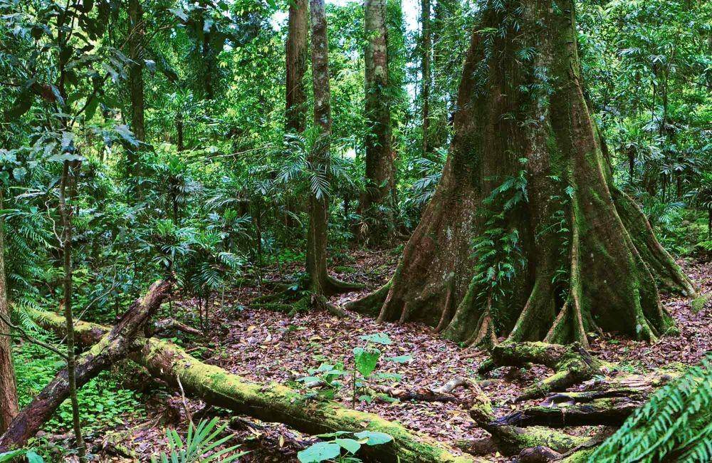 nationalparks.nsw