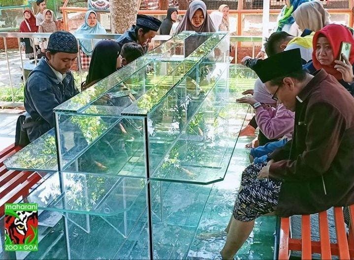 Pengunjung wisata saat menikmati kolam ikan terapi di Maharani Zoo Lamongan. IDN Times/Istimewa