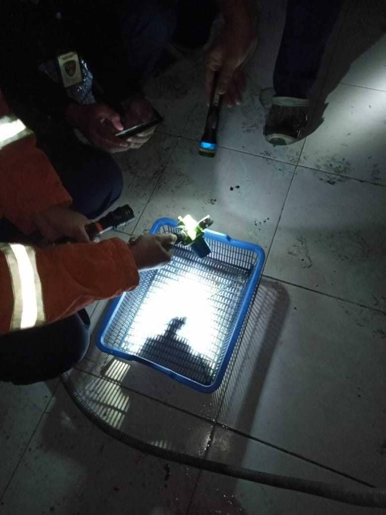 Dok.IDN Times/Istimewa