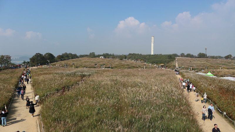 Dok. Pribadi/Fadila Suryandika