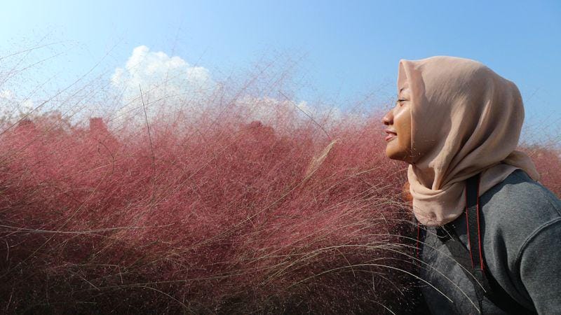 Dok. Pribadi/Fadila Suryandika