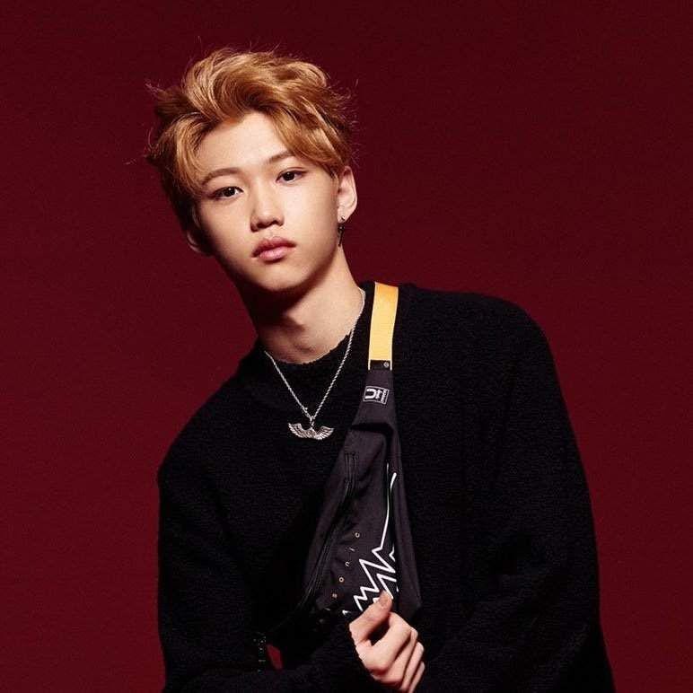 instagram.com/realstraykids