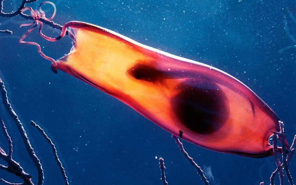 livescience.com