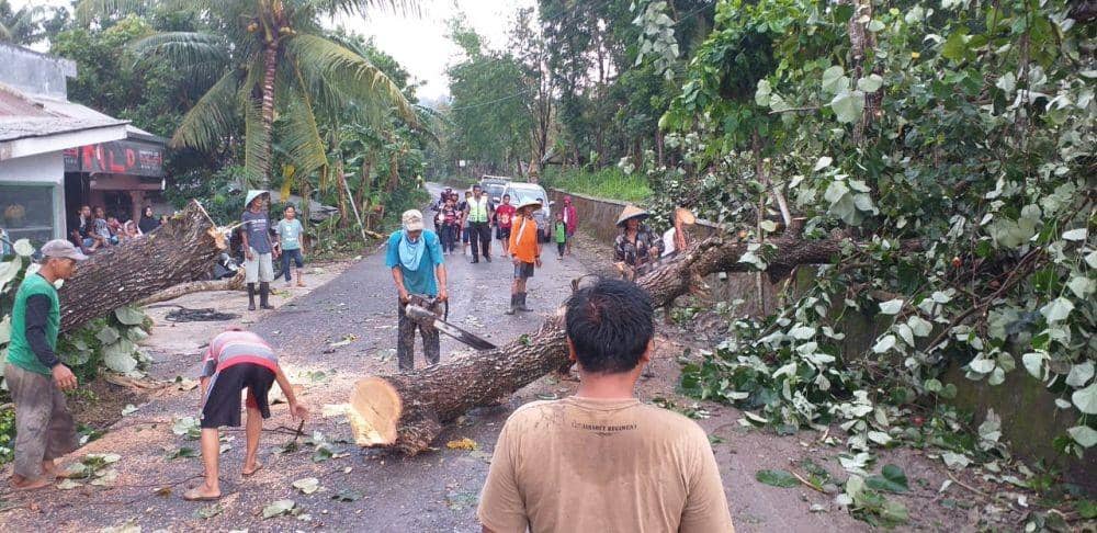 Warga bersama aparat keamanan mengevakuasi pohon waru yang tumbang melintang jalan akibat diterjang angin kencang, Sabtu (28/12). Humas Polres Kebumen