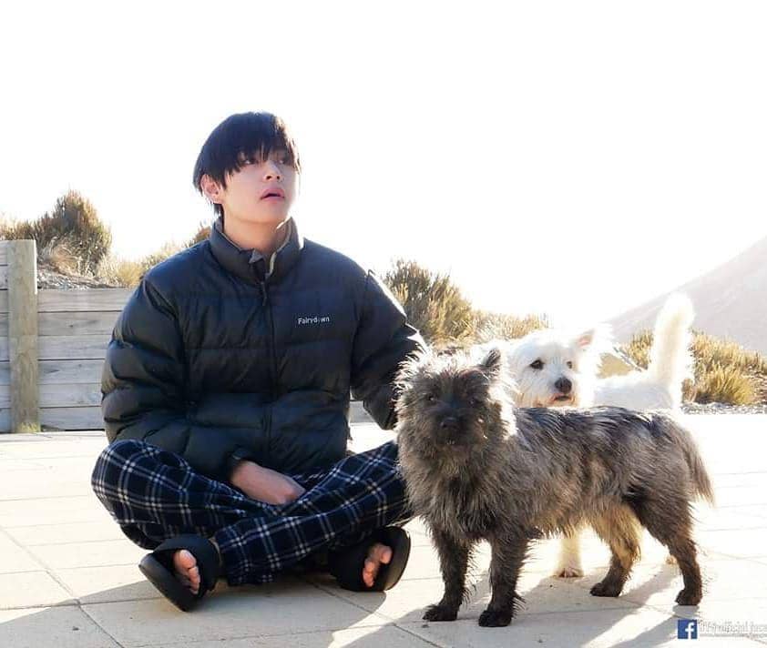 instagram.com/taehyung.bighitentertainment