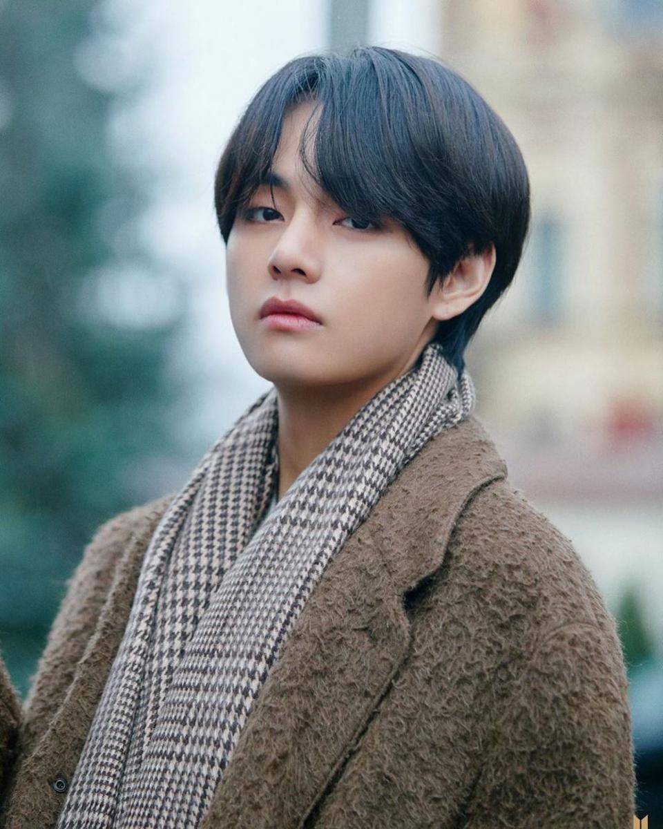 Instagram.com/bts_v