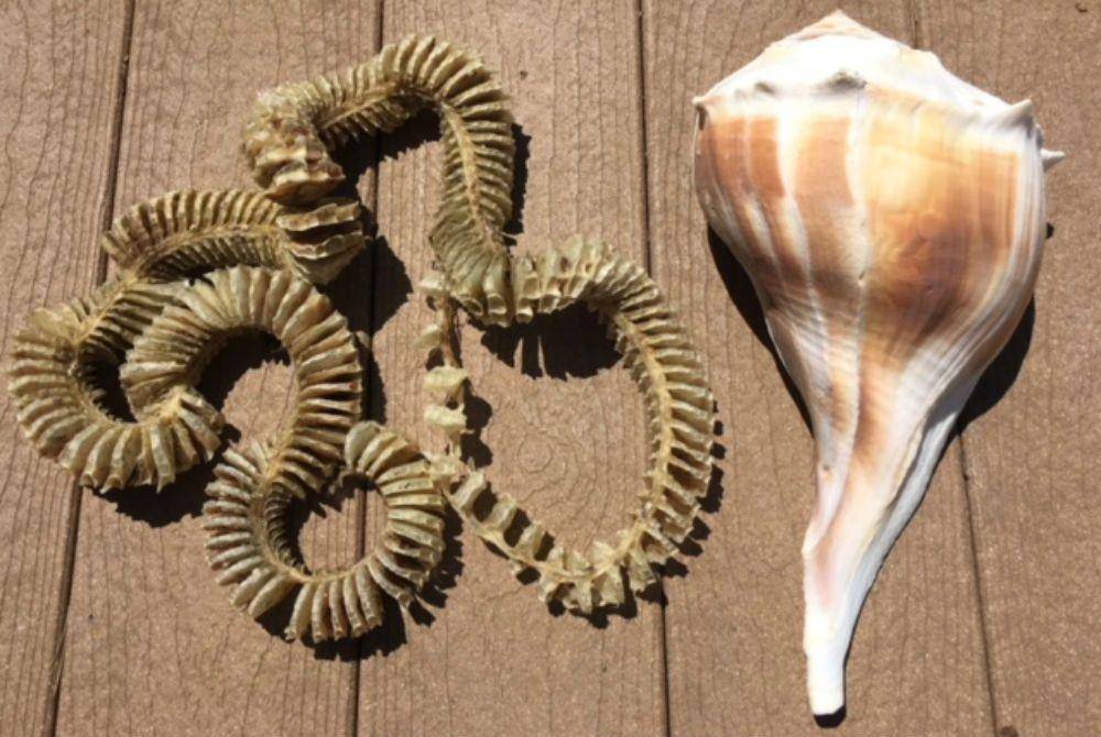 30a.com