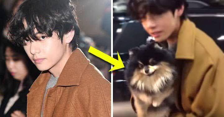 koreaboo.com