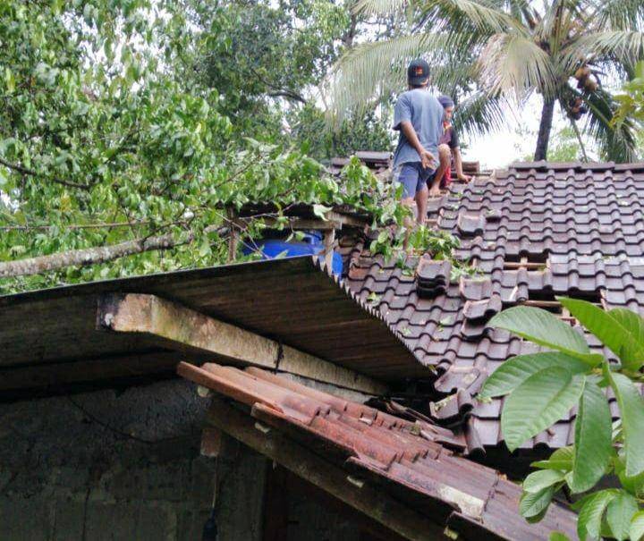 Insiden pohon tumbang akibat angin kencang. Dok. BPBD Sleman