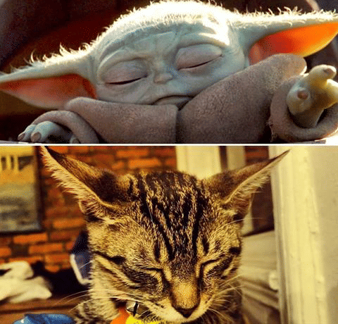 instagram.com/copurrnicusadventures