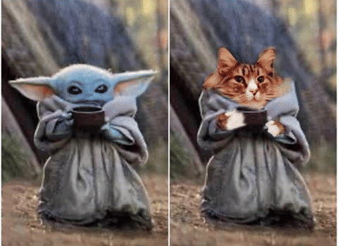 instagram.com/chikaandkakaremi