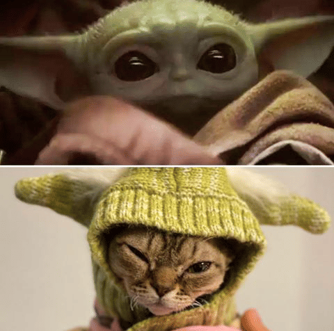 instagram.com/barbarabugsby