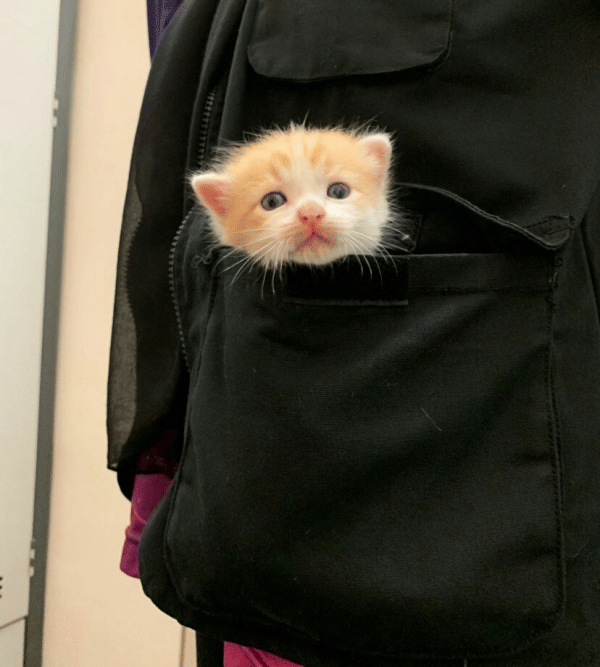 Twitter.com/nurmaziah16