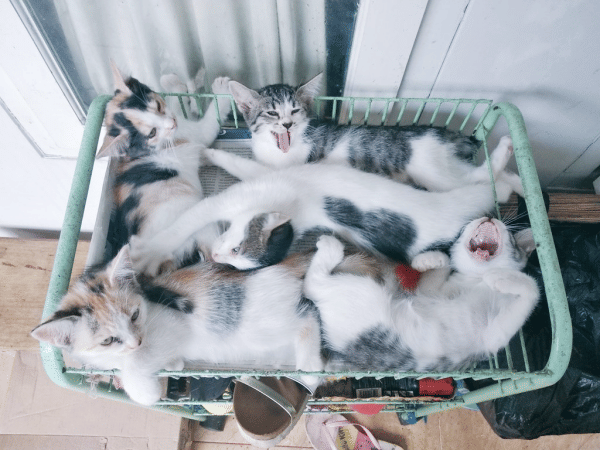 Twitter.com/m_irwanbudi_m