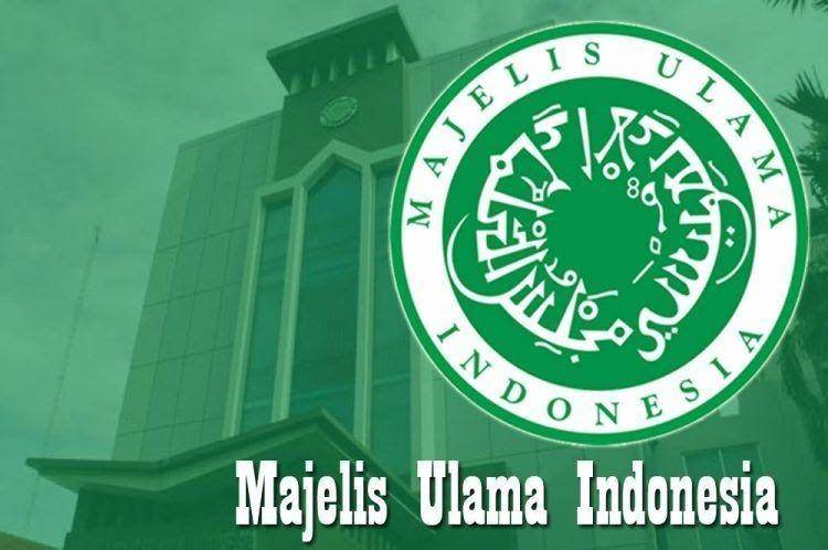 Logo Majelis Ulama Indonesia (MUI) (IDN Times/Mui.or.id)