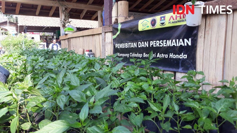 Kampung Berseri Astra Cidadap. (IDN Times/Indiana Malia)