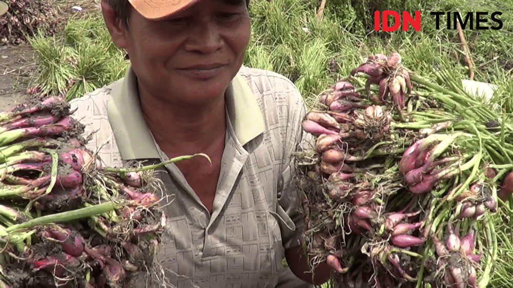 IDN Times/ Muchammad Haikal