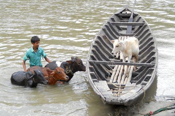 worldanimalprotection.org.uk