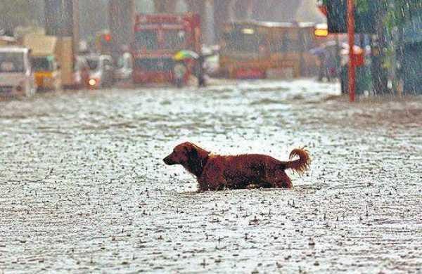 newindianexpress.com