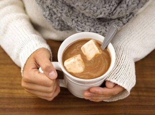 lakechamplainchocolates.com