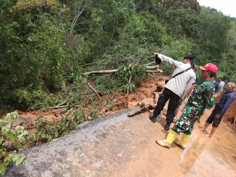 Pohon tumbang akibat longsor (IDN Times/BPBD Sumsel)